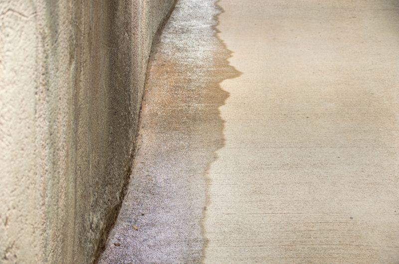 Leaking Foundation Repair in Mason County, WA